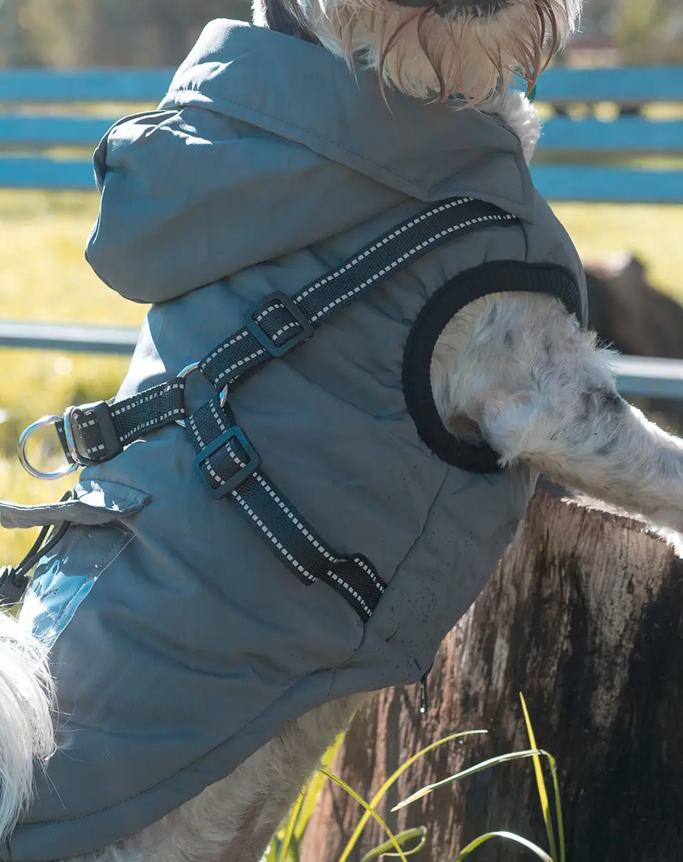 Tippy Tails All-Weather Jacket, Cloud Grey, side view