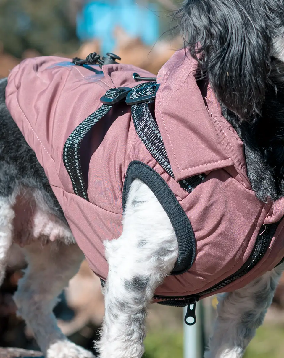 Tippy Tails All-Weather Jacket, Sugar Plum, side view