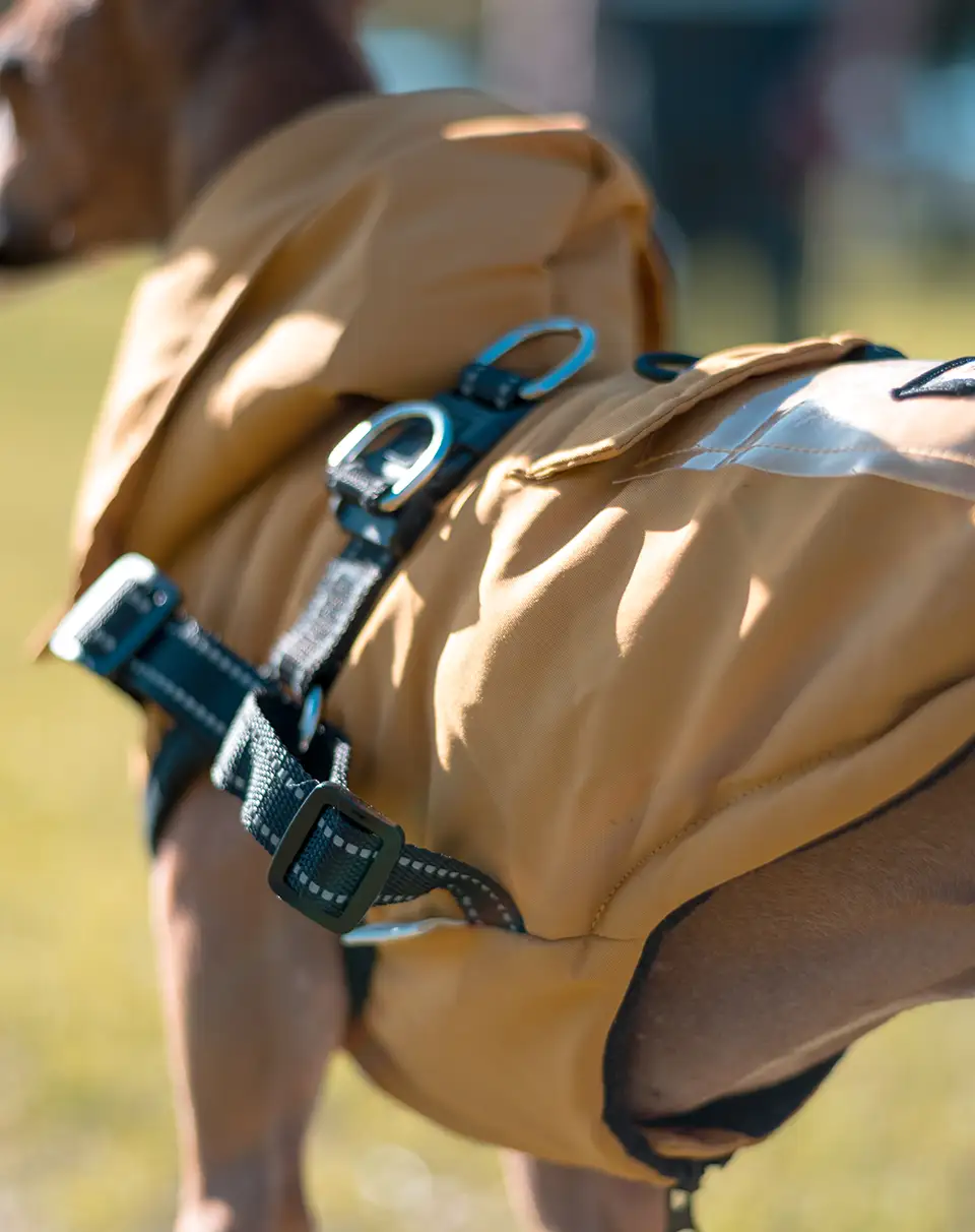 Tippy Tails All-Weather Jacket, Sunshine Yellow, side view